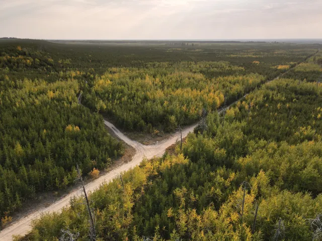 Rural Municipality of Piney