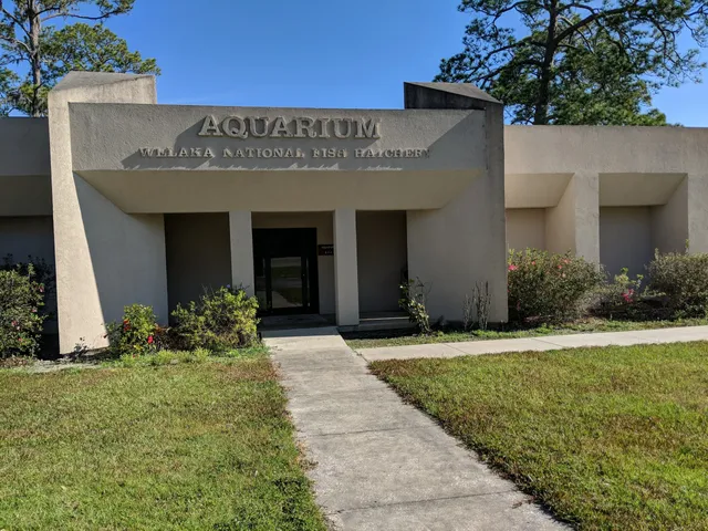 Welaka National Fish Hatchery - Aquarium