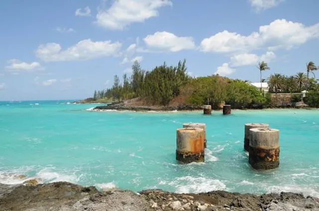 Dolphin Quest Bermuda