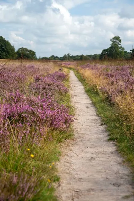 Natuurgebied Groote Zand Hooghalen
