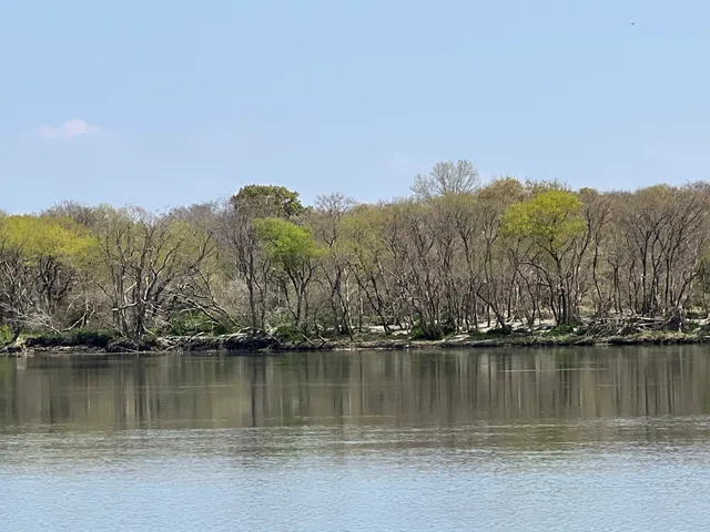 Kasamatsucho Ryokuchi Park