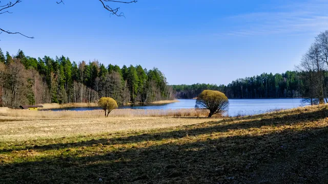 Saare järve õpperada