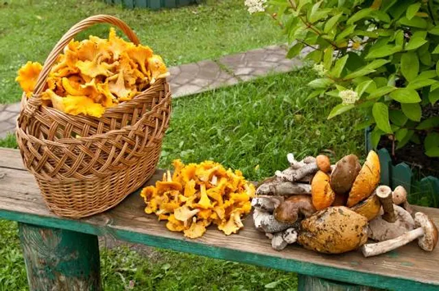 Mühlenwanderweg Kaning