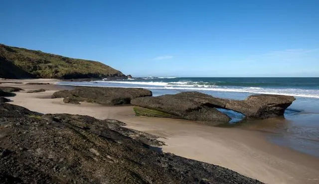 Te Uru Waitākere Contemporary Gallery