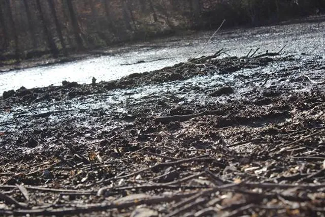 River Bend Nature Center