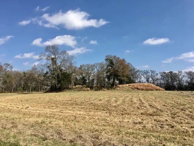 Marksville State Historic Site