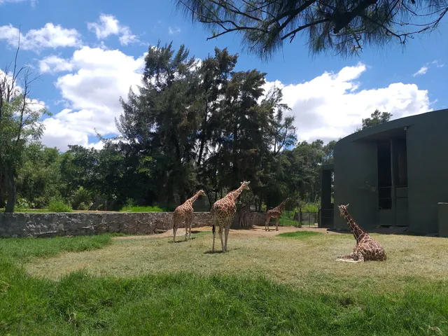 Viajes al zoológico de guadalajara