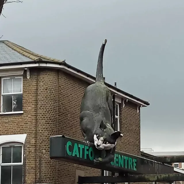 The Catford Cat