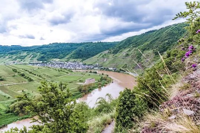 Mittelrhein-Klettersteig Boppard
