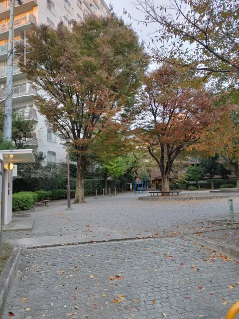 photo-1