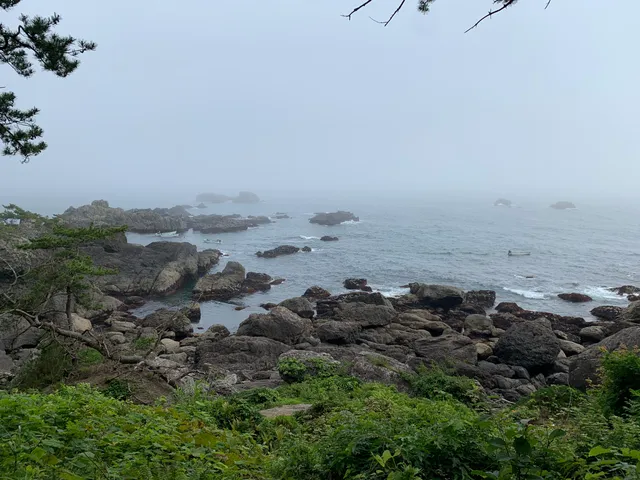 Yodo-no-matsubara yūhodō trail