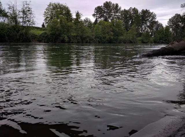 North Meridian - Puyallup River Bridge