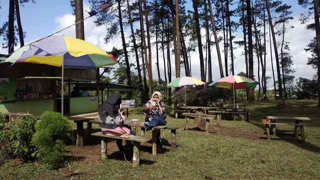 Agribusiness Serang travel and Strawberry Gardens