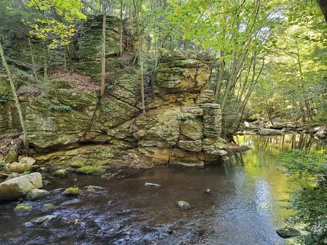 Cotton Hollow Preserve