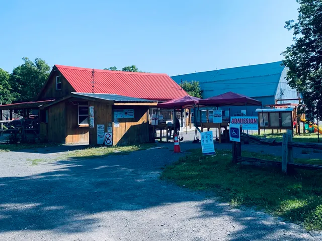 photo-1