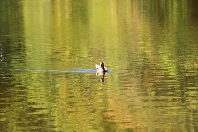 GOLDEN WATER PARK KHATU SHYAM JI