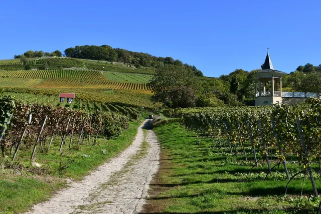 Hessische Staatsweingüter GmbH, domain Bergstraße