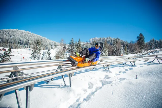 Luge Schlitte Mountain