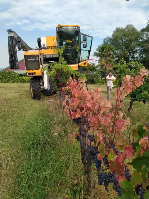 Eaglerange Estate Wines