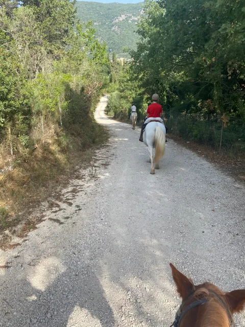 Trailriders Horse Trekking