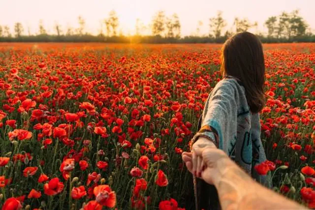 Malarikkal Sunset View Point