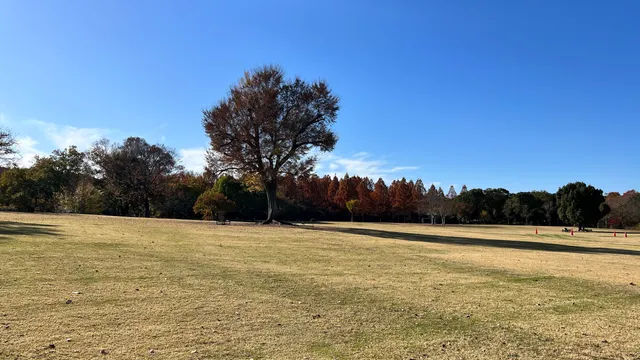 Momijigawa Lawn Plaza