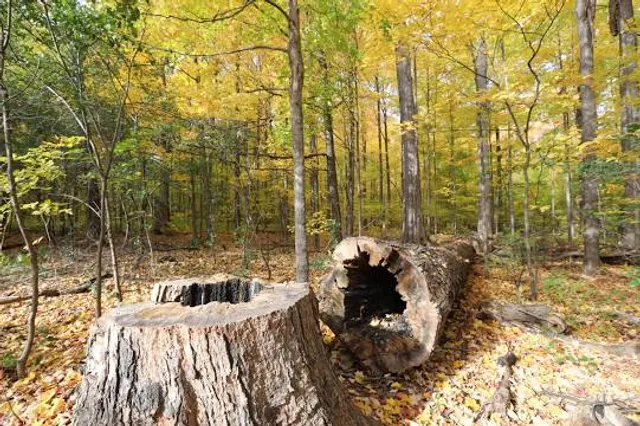 Sugarbush Heritage Park