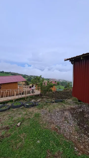 Cabañas una mirada al cielo