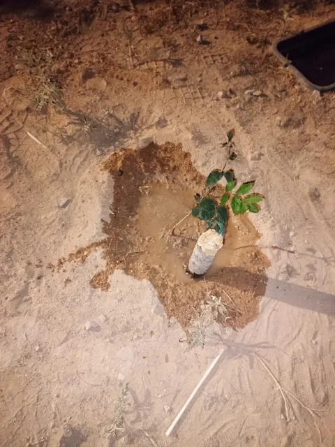 Heroes De La Revolucion 2 Park