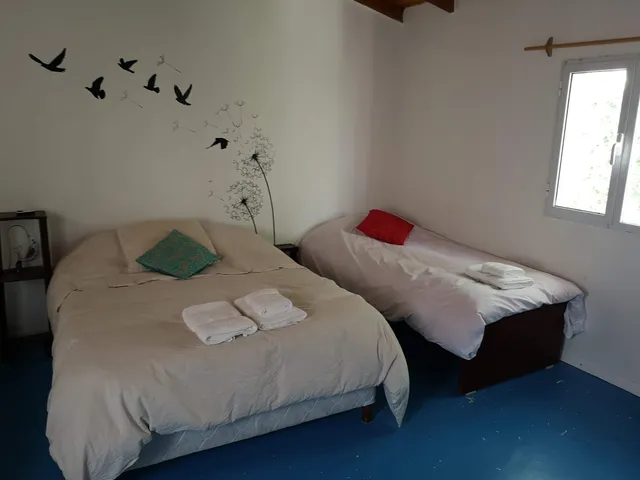 La Casa del Rey Whale