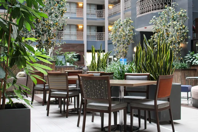 Embassy Suites by Hilton Denver Central Park