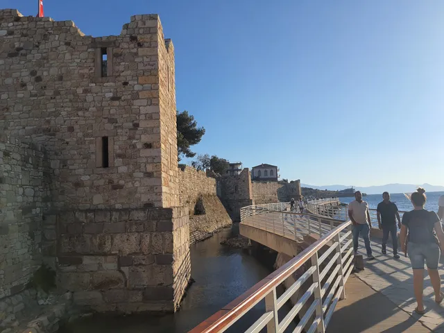 photo-1