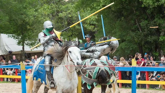 Sherwood Forest Faire