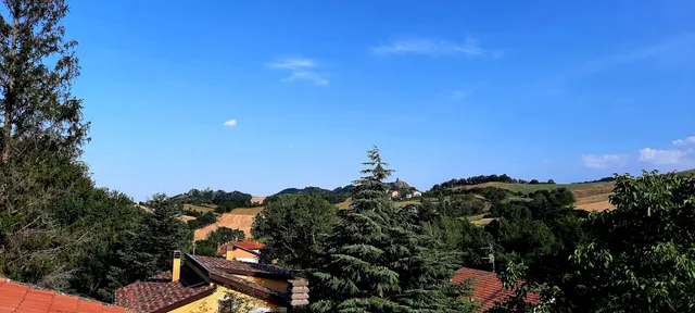 Eucharistic Adoration Sisters