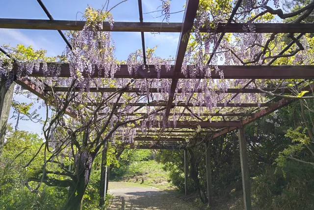 Kyogamaru Green Park