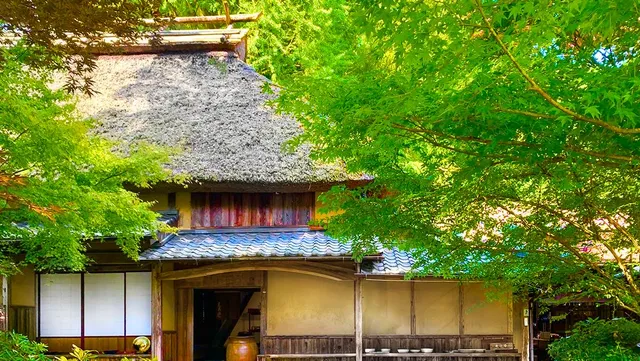 Takatori Yayama Takatori ware Soke