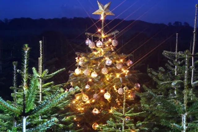 The Christmas Adventure Office