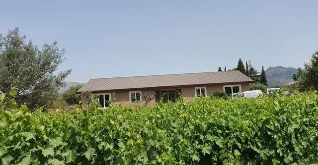 Azienda Vitivinicola Vigneti Vecchio