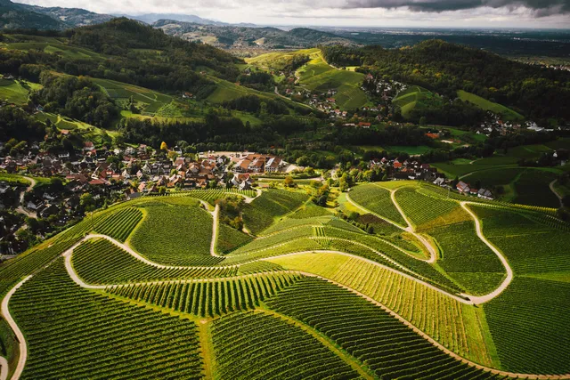 Alde Gott Winzer Schwarzwald eG & Alde Gott Edelbrände Schwarzwald eG