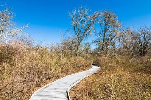 Red Maple Swamp Trail