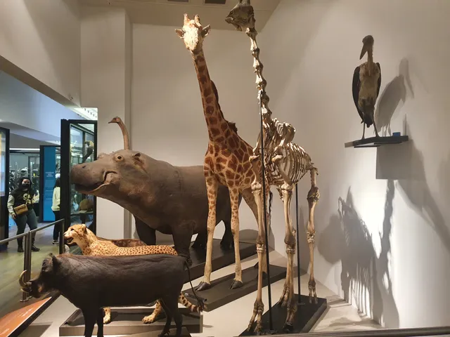 Nancy Museum-Aquarium