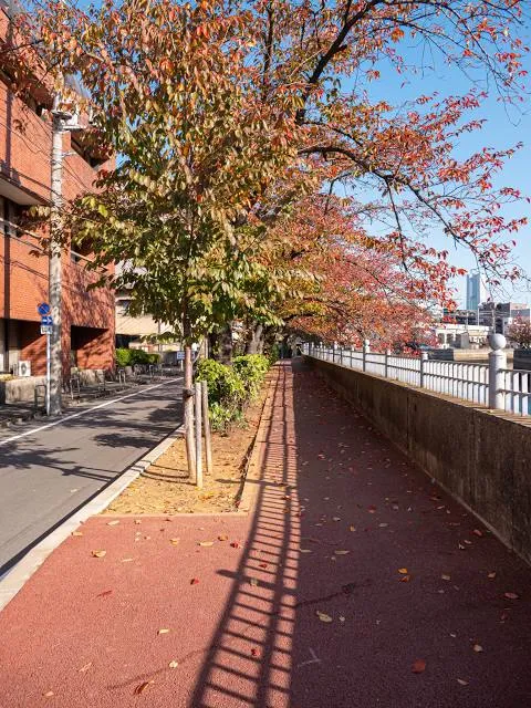 Gangping Sports Park