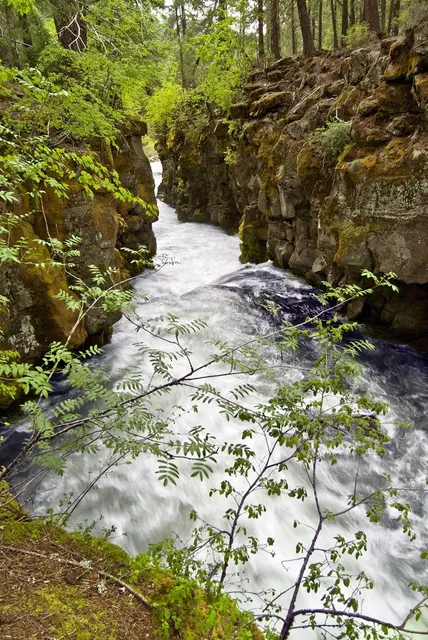 Rogue River Gorge Falls