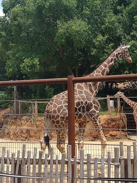 Zoo Atlanta Member Services Office