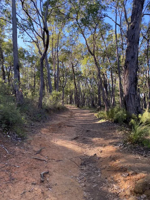 Jorgensen Park Walk Trail
