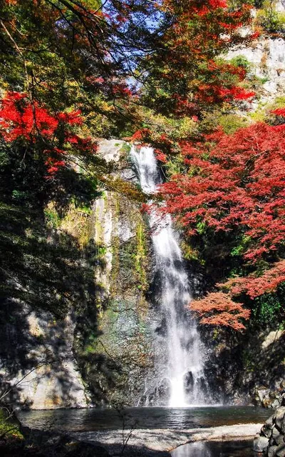 photo-1