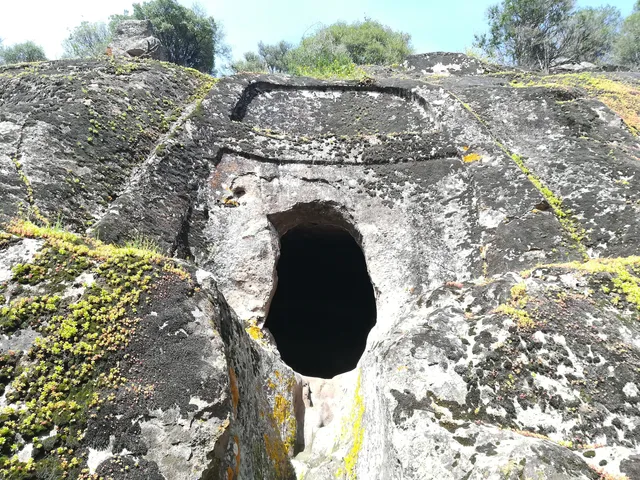 Ingresso sentiero per domus de janas Sos Furrighesos