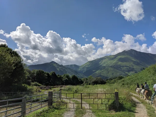 Randonnées à cheval Eric BONNEMAZOU