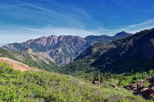 Uinta-Wasatch-Cache National Forest
