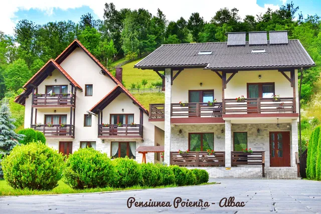 Pensiunea Poienita Apusenilor Albac